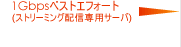 1Gbps�x�X�g�G�t�H�[�g(�X�g���[�~���O�z�M��p�T�[�o)